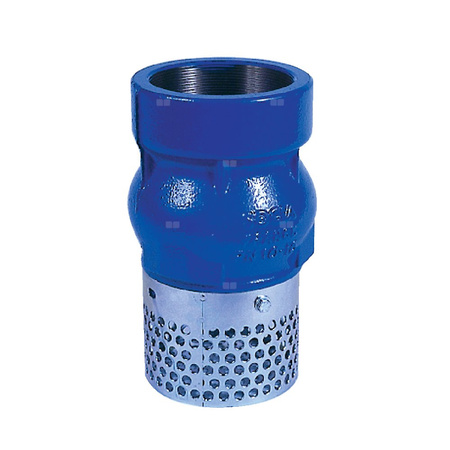 Kosz ssawny gwintowany wew., zamknięcie grzybkowe wspomagane sprężyną, typ 102, 4"