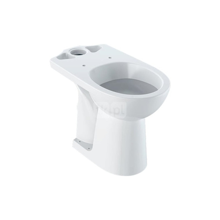 Deska sedesowa Geberit Selnova, mocowanie od dołu: Wolne opadanie=Nie, Zawiasy wypinane=Nie, Mocowanie=Od dołu, Biały / Błyszczący