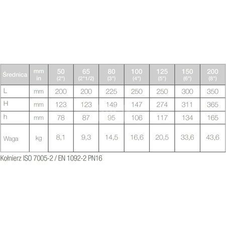 Wodomierz jednostrumieniowy WDEK50F100250 R100/R100