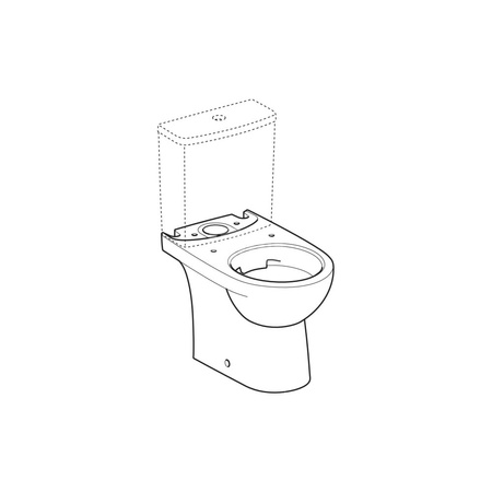 Deska sedesowa Geberit Selnova Compact, mocowanie od góry: Wolne opadanie=Nie, Zawiasy wypinane=Nie, Mocowanie=Od góry, Biały / Błyszczący