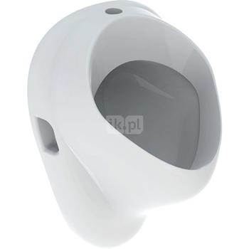 Geberit Felix Pisuar, B35cm, H56cm, T35.5cm, dopływ u góry, odpływ do tyłu lub w dół