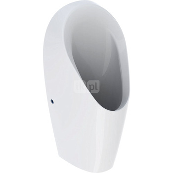 Pisuar Geberit Tamina, bezwodny: T=37cm, Odpływ=Do tyłu, Biały