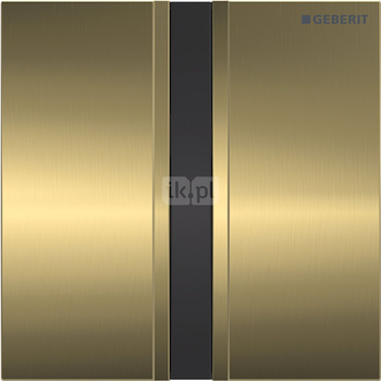 Zawór spłukujący Geberit do pisuaru, zasilanie bateryjne, Typ 50, chrom szczotk., mosiądz