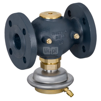 Regulator różnicy ciśnień AVP-F, PN 25, DN 40, 20.00 m³/h, 0.50 bar - 0.50 bar, kołnierz, G 2 A