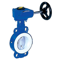 Przepustnica bezkołnierzowa LYCENE z napędem ręcznym przekładnią ślimakową DN 50