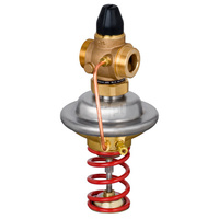 Regulator różnicy ciśnień z ograniczeniem przepływu AVPQ PN25 40/16 03-20/02 gw. pow.