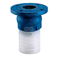 Kosz ssawny kołnierzowy, polipropylen, zamknięcie grzybkowe wspomagane sprężyną, typ 302P, DN 100, PN16