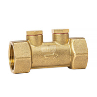 Zawór antyskażeniowy EA 1''